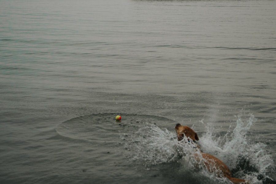 weekend aan het water