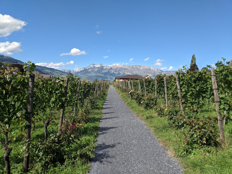 Hiking and wine tasting in the same trip