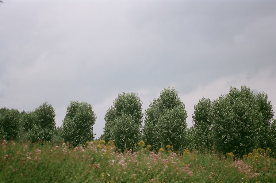 pvc-vloeren