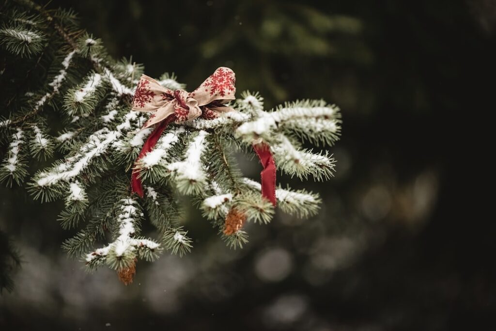 Photo seasonal jobs