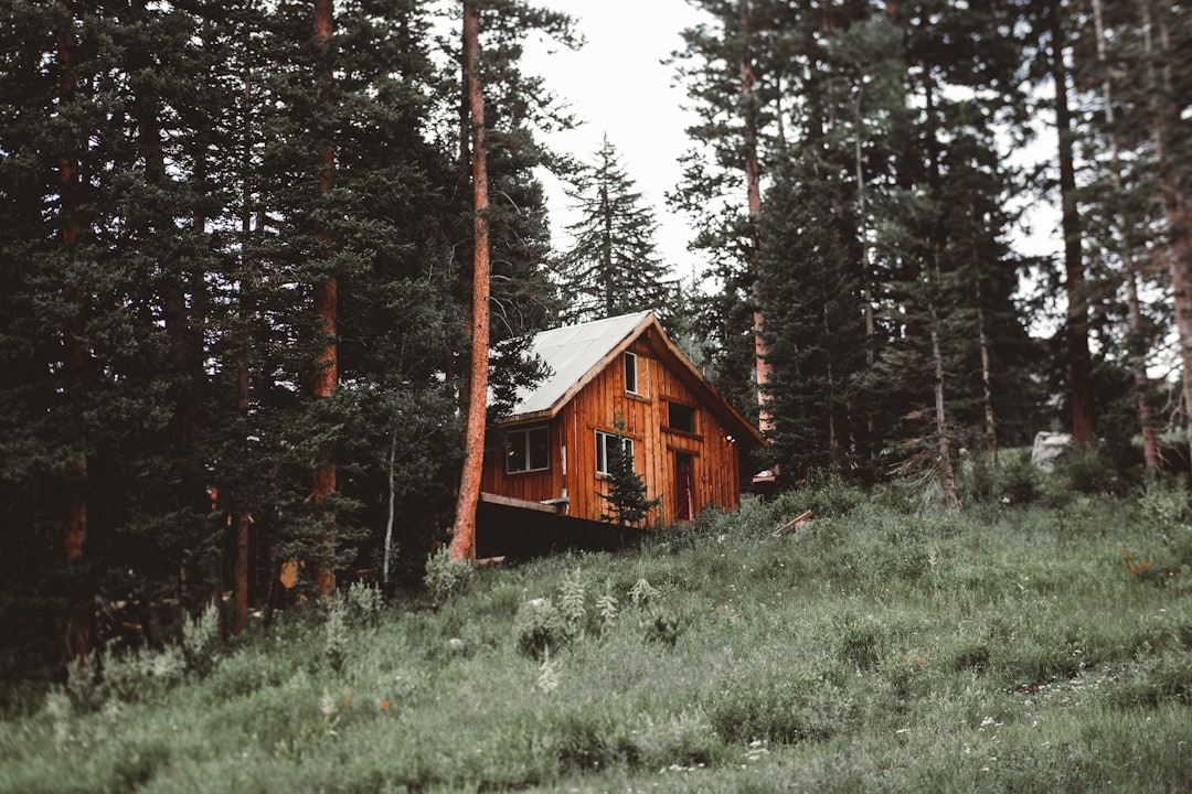 Photo cabin stays