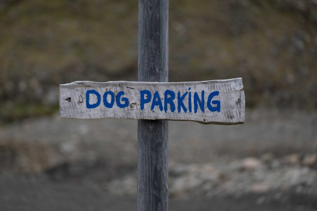 Photo hondvriendelijke adressen