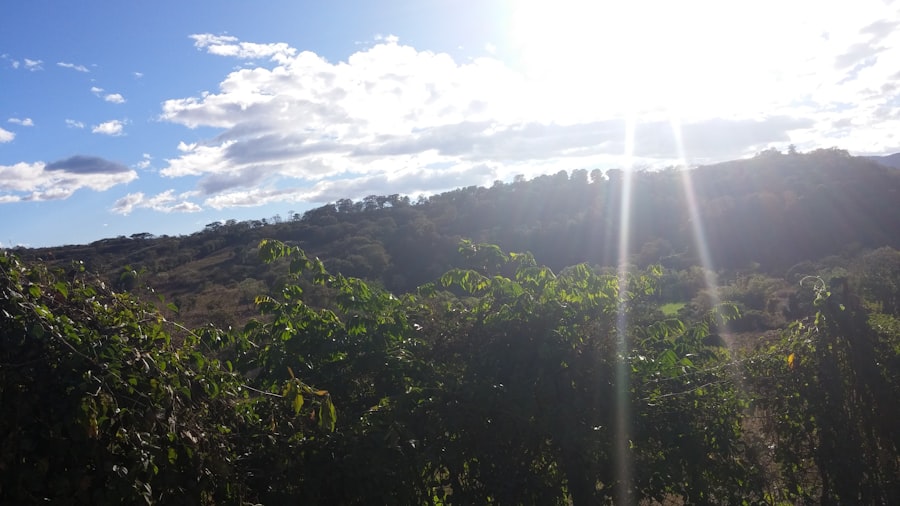 Photo Hiking and wine tasting in the same trip