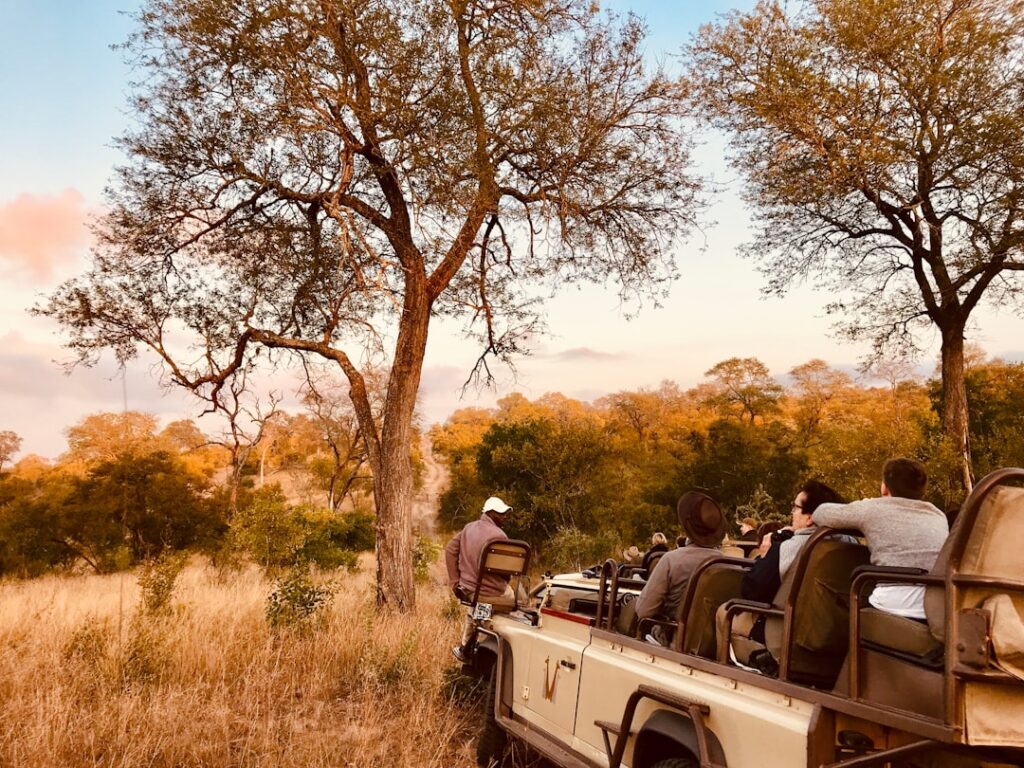 Photo safari tips