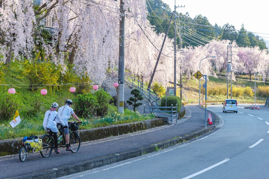 Photo spring trips