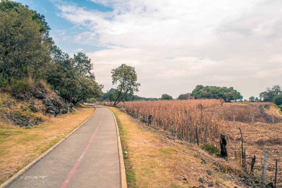 Cycling wine routes with tastings