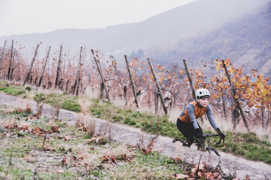 Photo Cycling wine routes with tastings